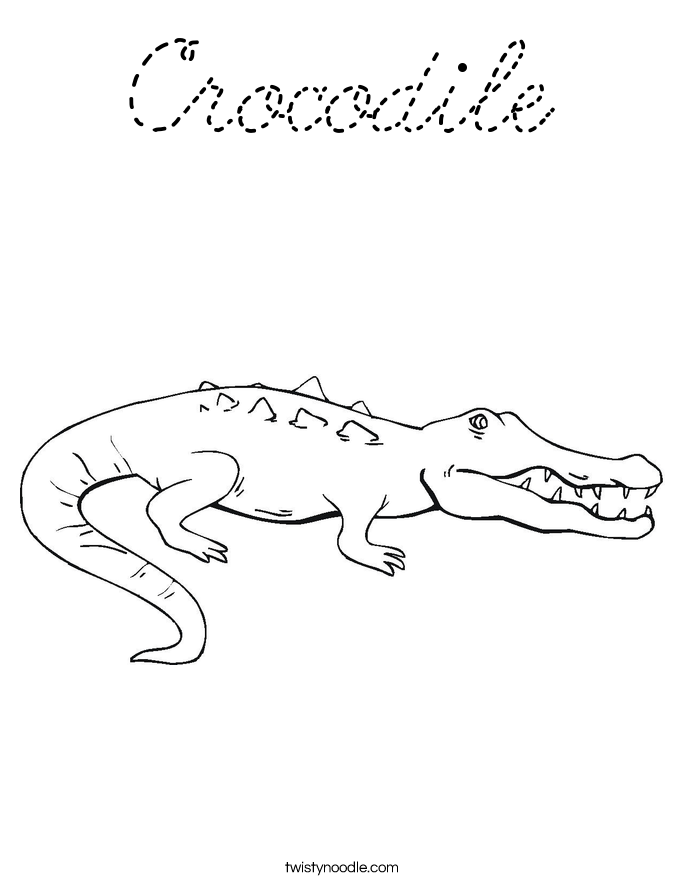  Coloring Page