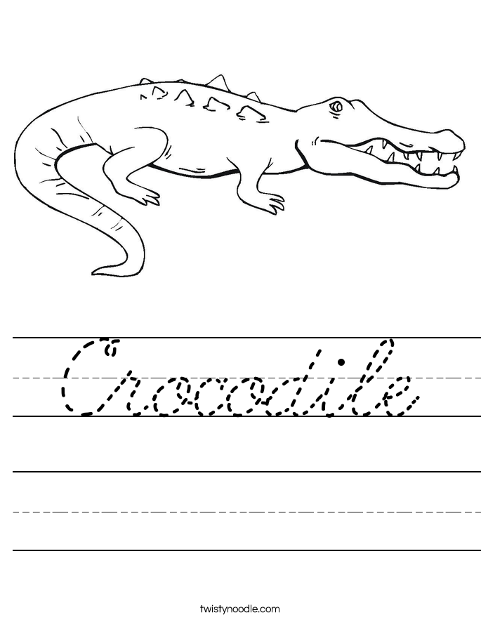 Crocodile Worksheet