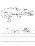 Crocodile Worksheet