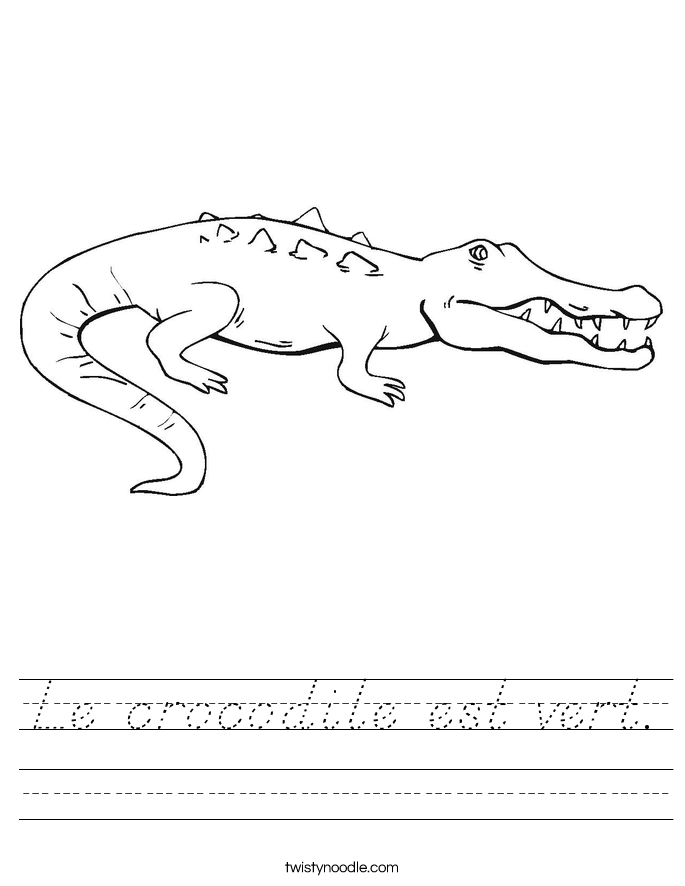 Le crocodile est vert. Worksheet