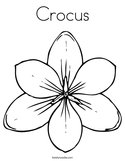 Crocus Coloring Page
