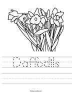 Daffodils Handwriting Sheet