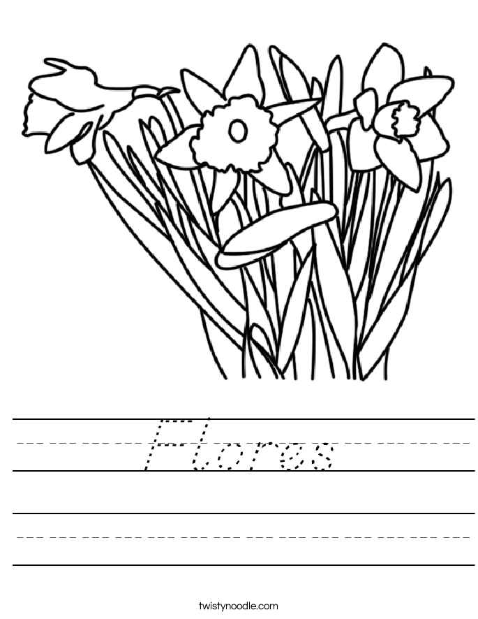 Flores Worksheet