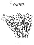 Flowers Coloring Page