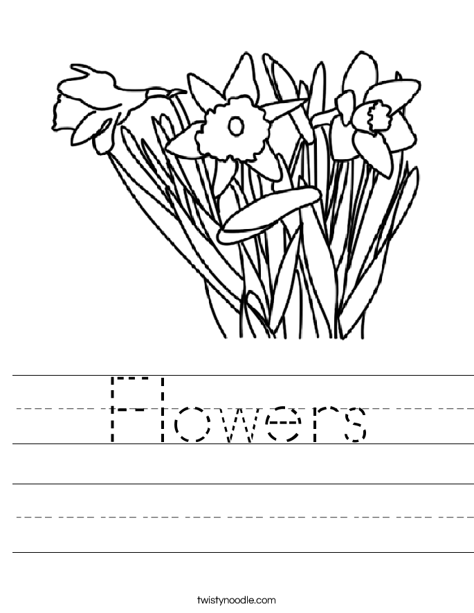 Flowers Worksheet