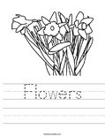 Flowers Worksheet