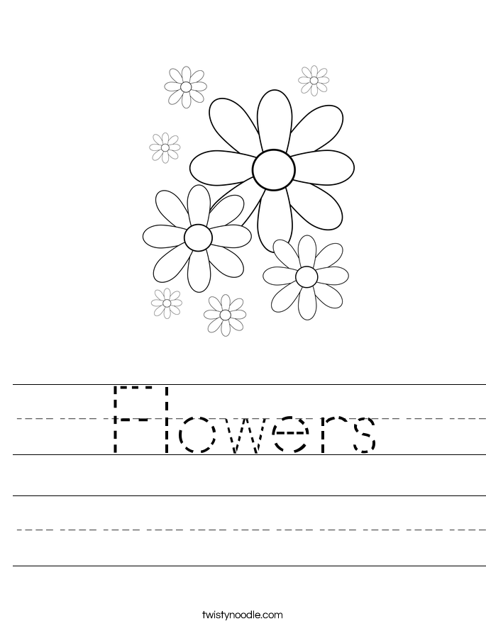 Flowers Worksheet