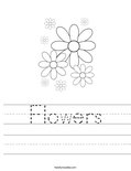 Flowers Worksheet