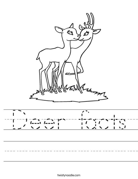 Deer facts Worksheet - Twisty Noodle