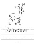 Reindeer Worksheet