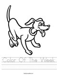 Color Of The Week Worksheet