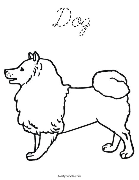 Collie Dog Coloring Page
