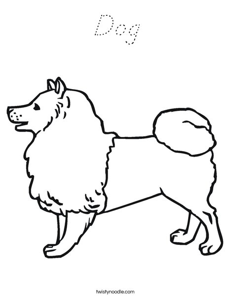Collie Dog Coloring Page