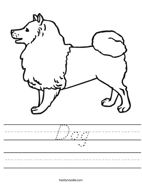 Collie Dog Worksheet