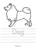 Dog Worksheet