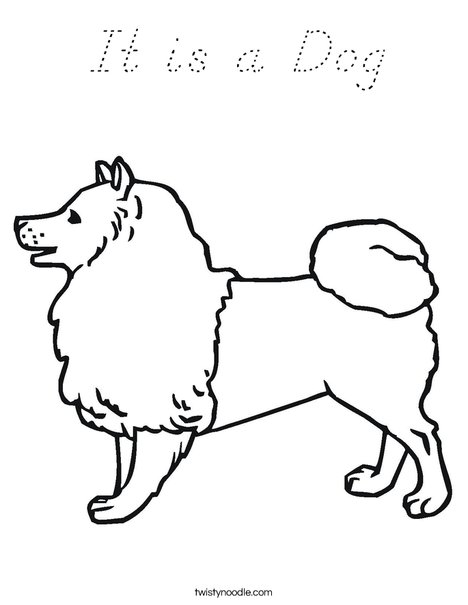Collie Dog Coloring Page