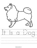 It is a Dog Worksheet