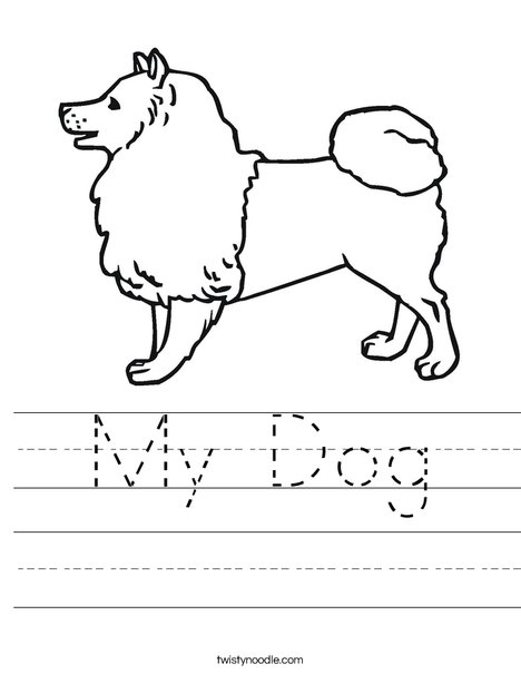 Collie Dog Worksheet