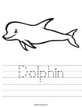 Dolphin Worksheet