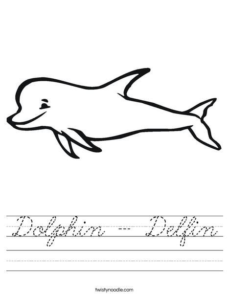 Porpoise Worksheet