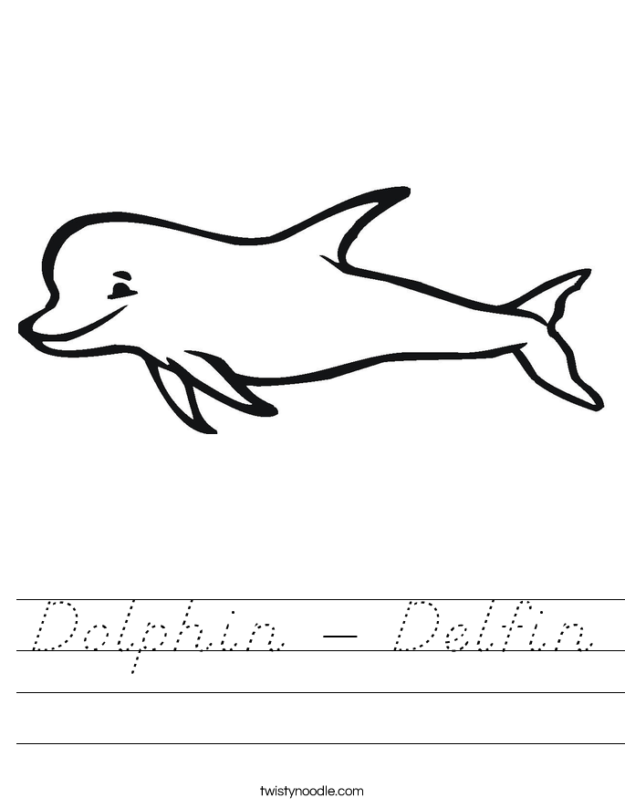 Dolphin - Delfin Worksheet