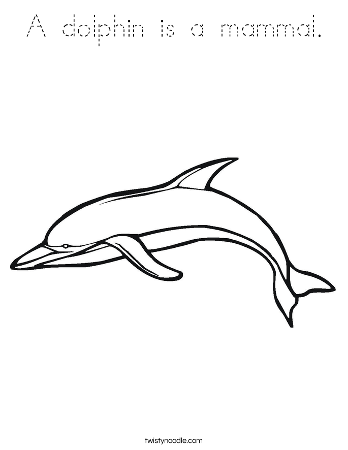 A dolphin is a mammal Coloring Page - Tracing - Twisty Noodle