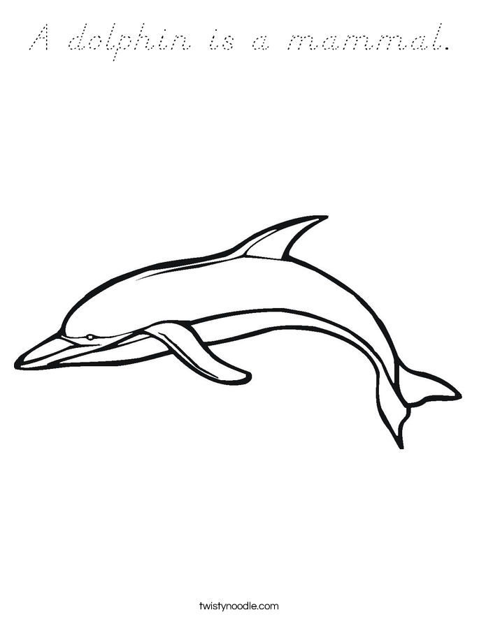 A dolphin is a mammal. Coloring Page