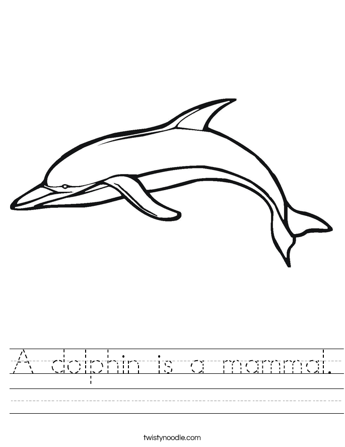 A dolphin is a mammal. Worksheet