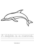 A dolphin is a mammal Handwriting Sheet
