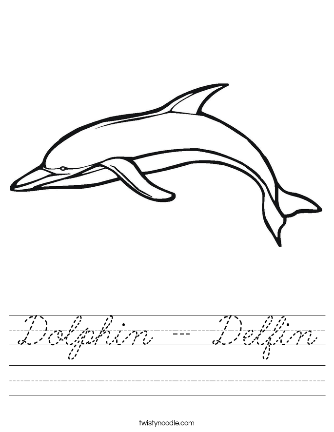 Dolphin - Delfin Worksheet