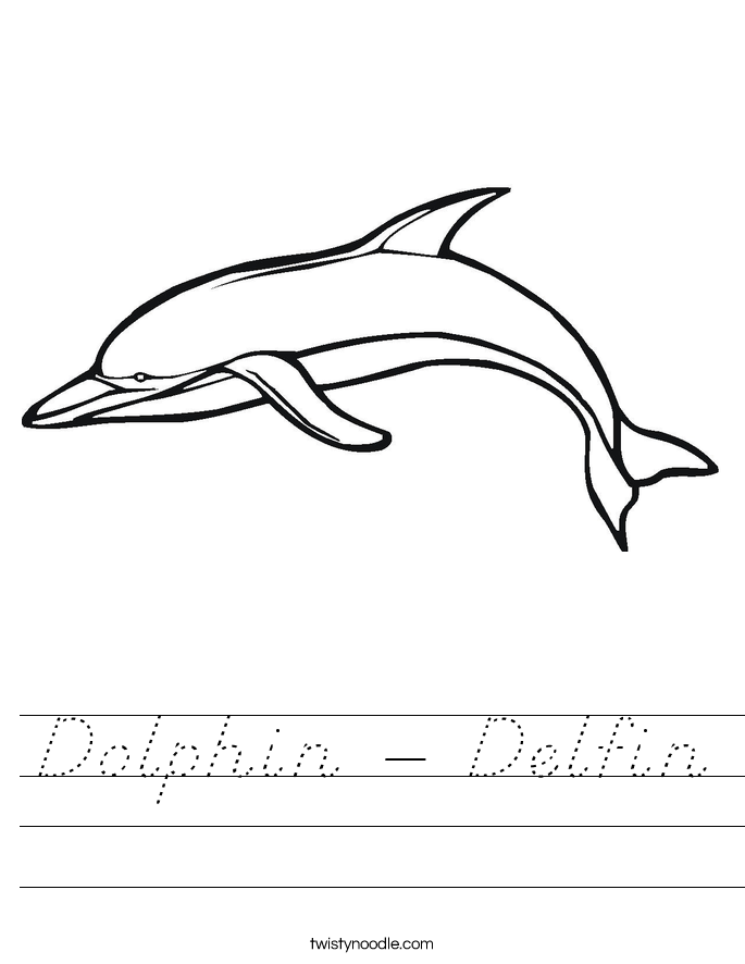 Dolphin - Delfin Worksheet