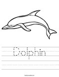 Dolphin Worksheet