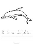 It is a dolphin. Worksheet