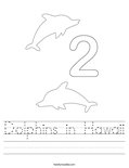 Dolphins in Hawaii Worksheet