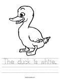 The duck is white. Worksheet