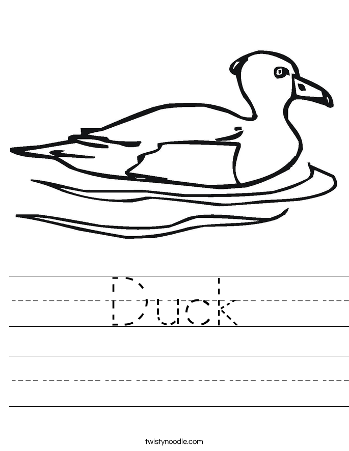 Duck Worksheet