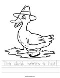 The duck wears a hat! Worksheet