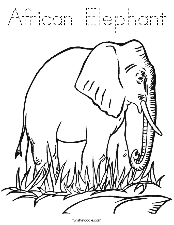 Download African Elephant Coloring Page - Tracing - Twisty Noodle