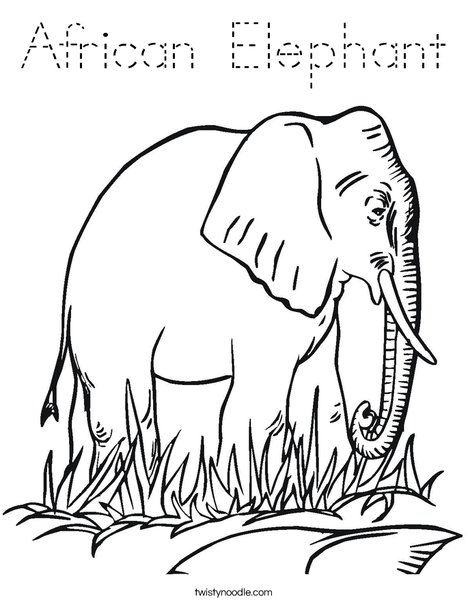 Elephant in Grass Coloring Page
