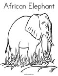 African ElephantColoring Page