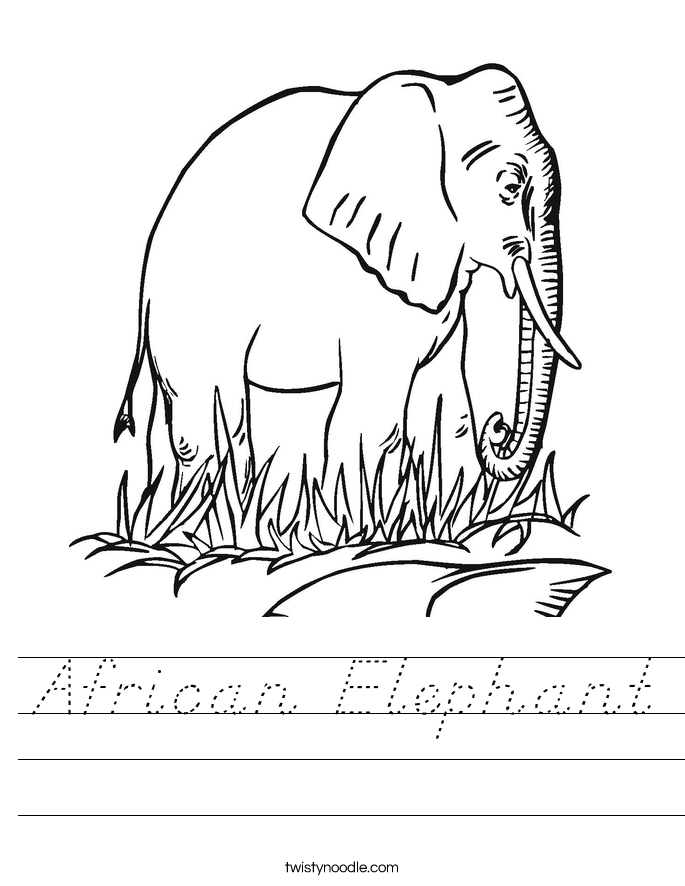 African Elephant Worksheet