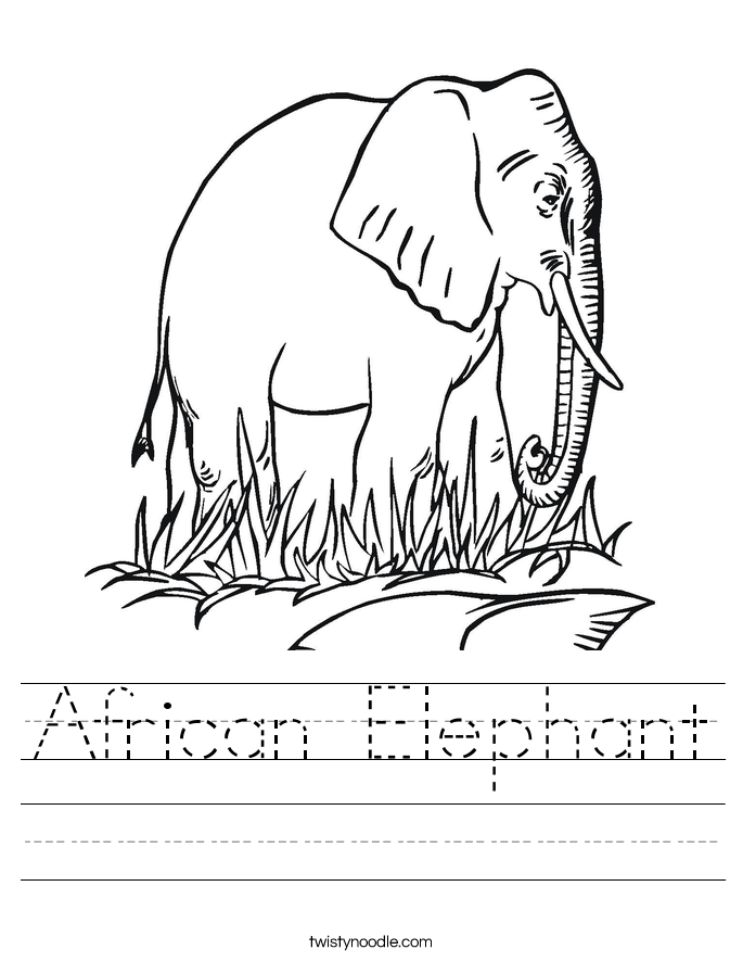 African Elephant Worksheet