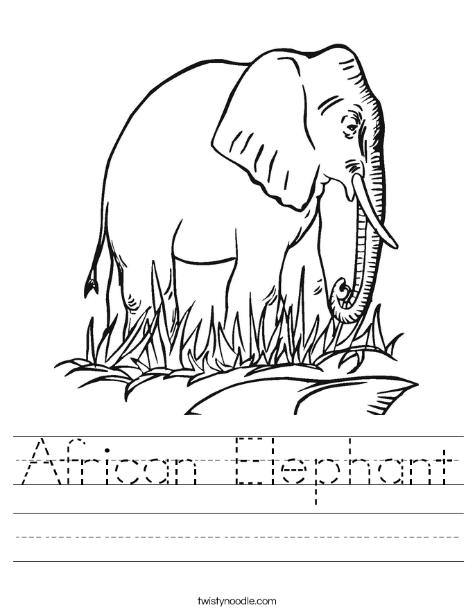 African Elephant Worksheet - Twisty Noodle