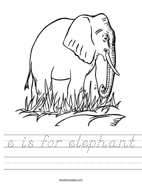 Elephant in Grass Worksheet