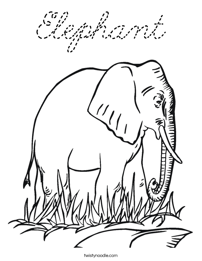  Coloring Page
