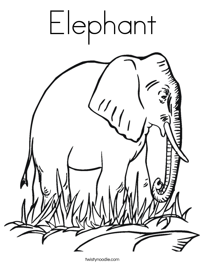 Elephant Coloring Page