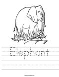 Elephant Worksheet