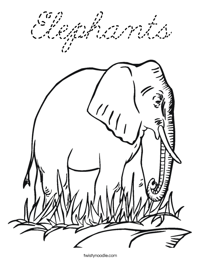  Coloring Page