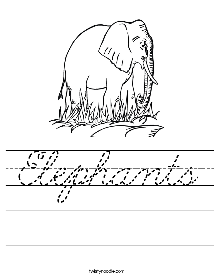 Elephants Worksheet