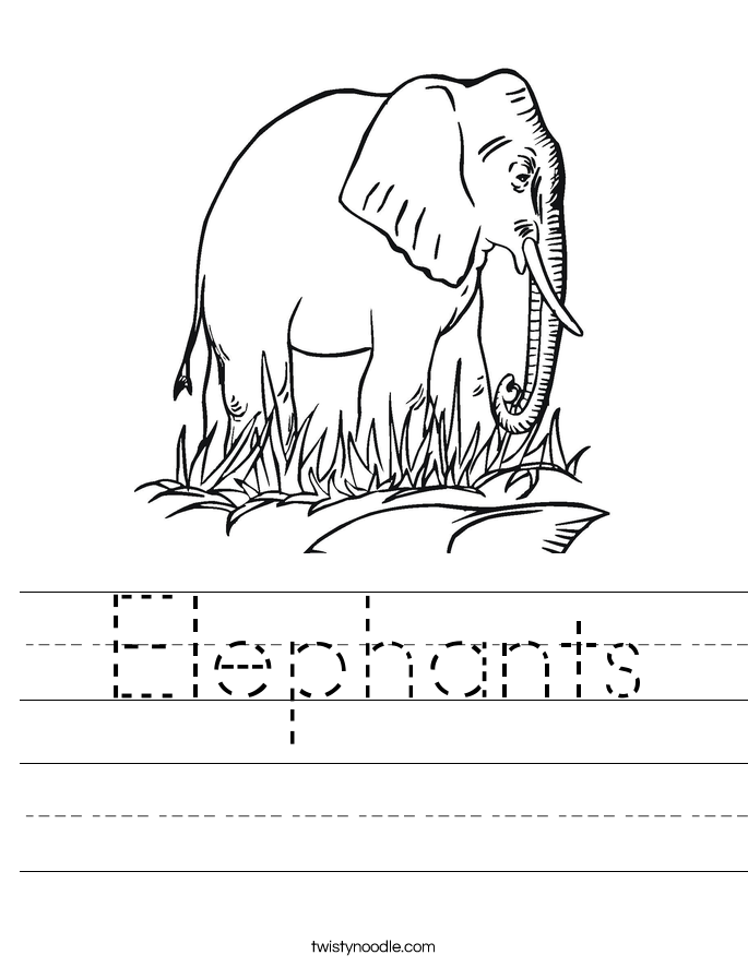 Elephants Worksheet